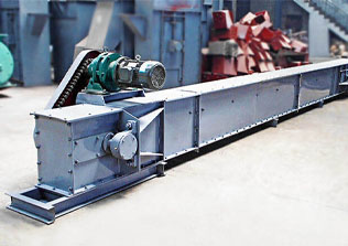 Chain Conveyor